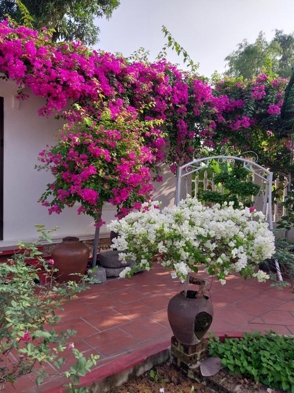 Nha Xanh Homestay นิญบิ่ญ ภายนอก รูปภาพ