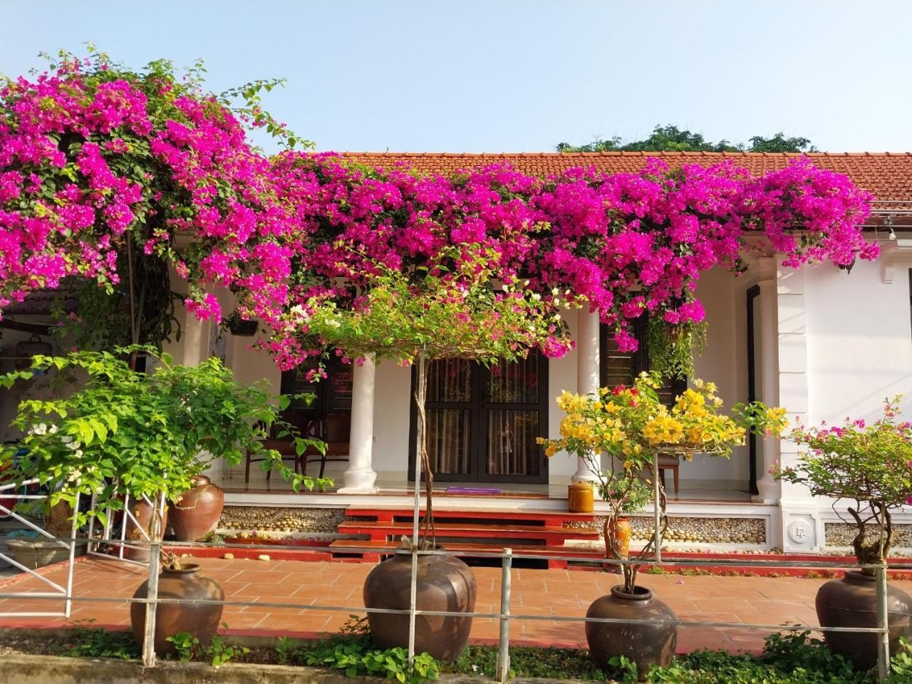 Nha Xanh Homestay นิญบิ่ญ ภายนอก รูปภาพ