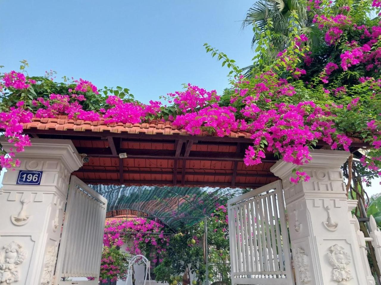 Nha Xanh Homestay นิญบิ่ญ ภายนอก รูปภาพ